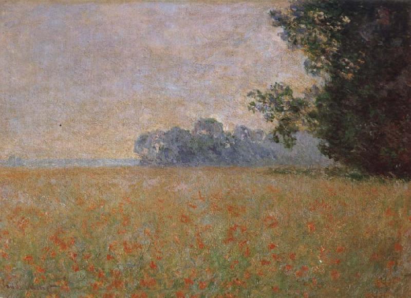 Claude Monet Oat and Poppy Field Norge oil painting art